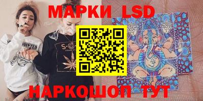 spice Гатчина