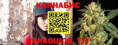 spice Гатчина
