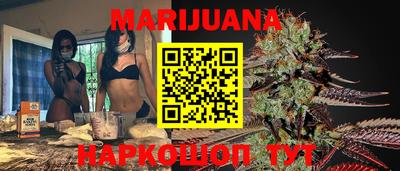 spice Гатчина
