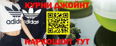 spice Гатчина