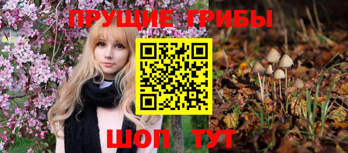 Псилоцибиновые грибы Psilocybine cubensis Жигулёвск